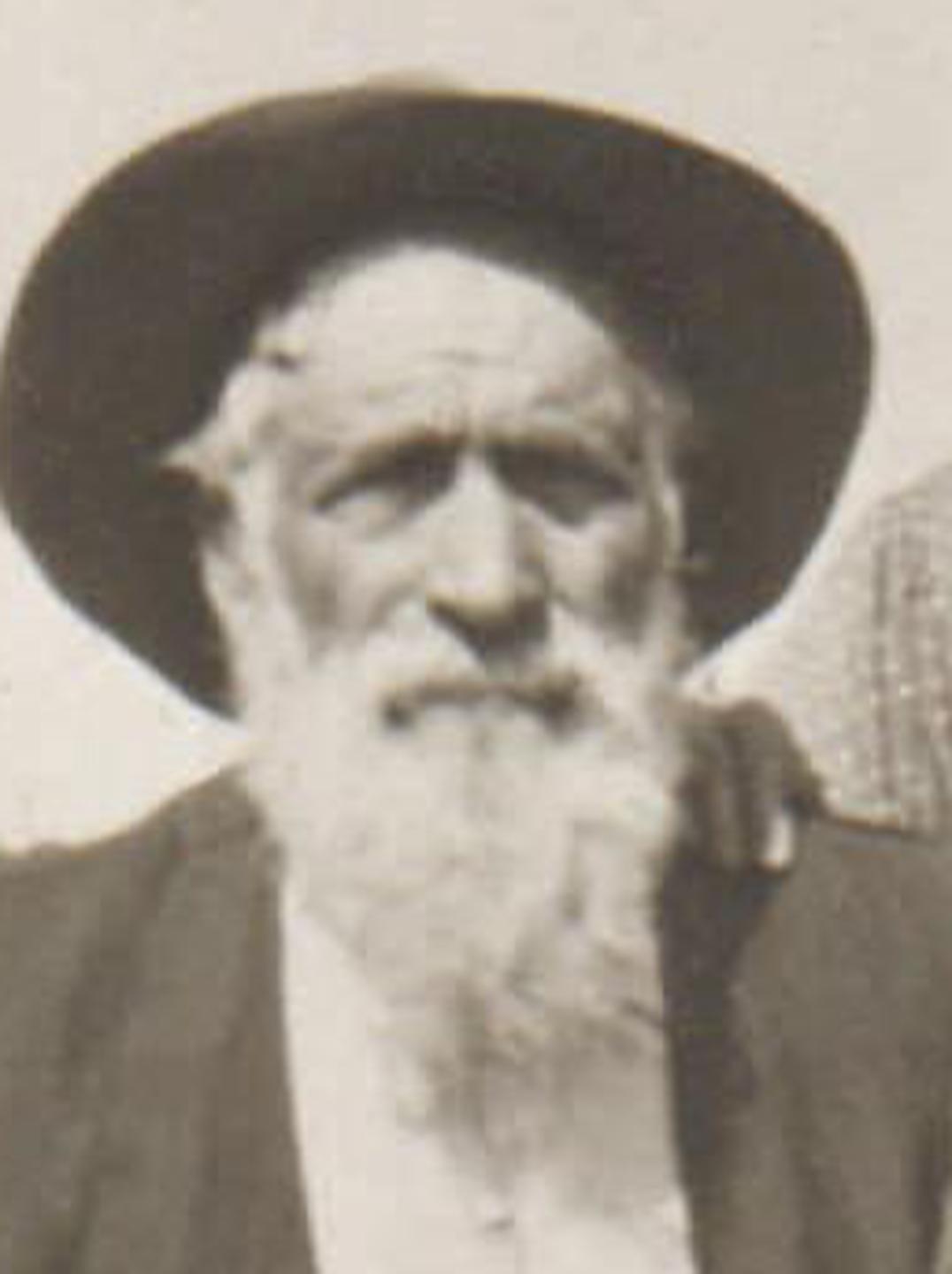 John Alphonzo Willey (1846 - 1921) Profile